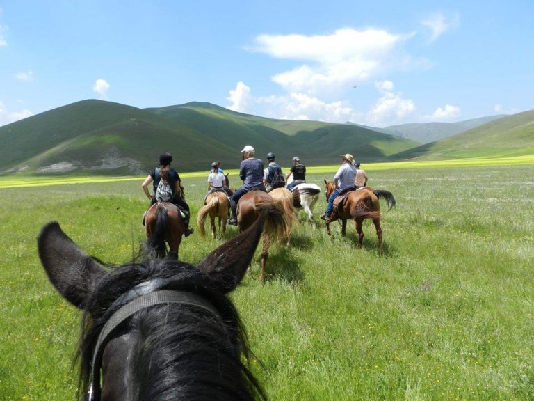Organizziamo il tuo trekking a cavallo nel parco dei monti sibillini e Castelluccio di Norcia